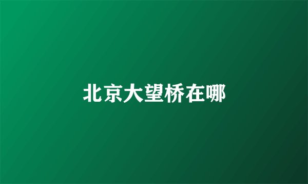北京大望桥在哪