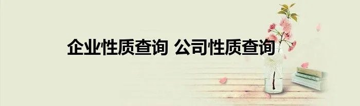 企业性质查询 公司性质查询