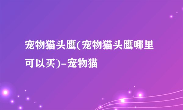宠物猫头鹰(宠物猫头鹰哪里可以买)-宠物猫