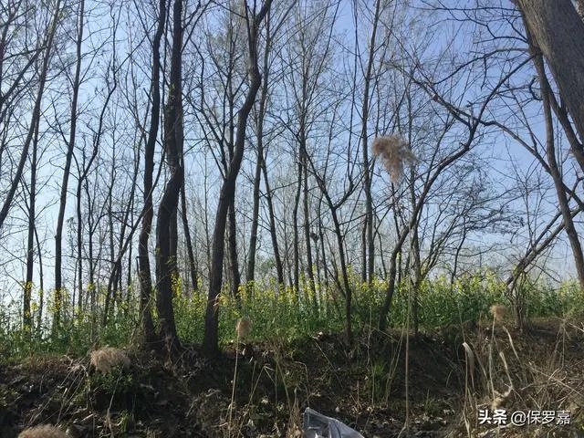 一年挣八万生意多吗?