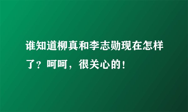 谁知道柳真和李志勋现在怎样了？呵呵，很关心的！