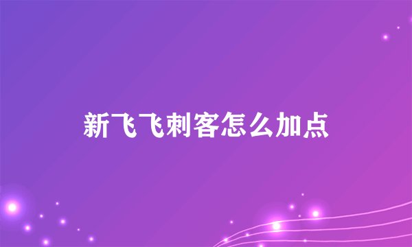 新飞飞刺客怎么加点