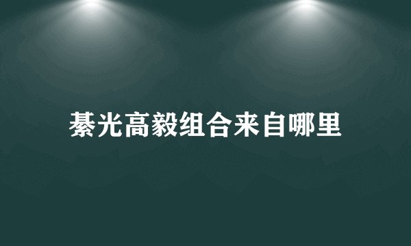 綦光高毅组合来自哪里