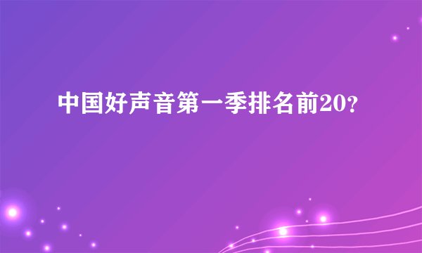 中国好声音第一季排名前20？