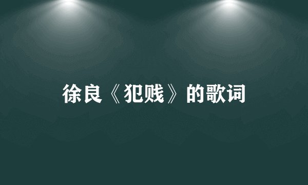 徐良《犯贱》的歌词