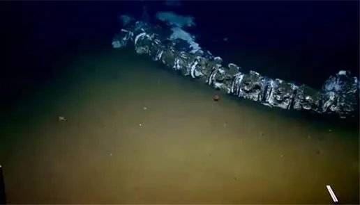 海底惊现12米巨型真龙是真的吗:这究竟是个什么梗?