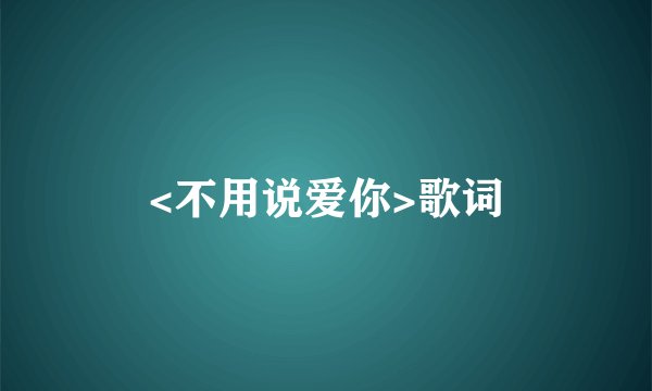 <不用说爱你>歌词
