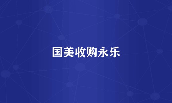 国美收购永乐