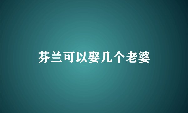 芬兰可以娶几个老婆