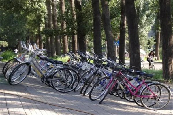 清华一学生边骑车边用电脑，这就是学霸吗？