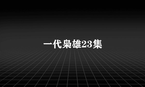 一代枭雄23集