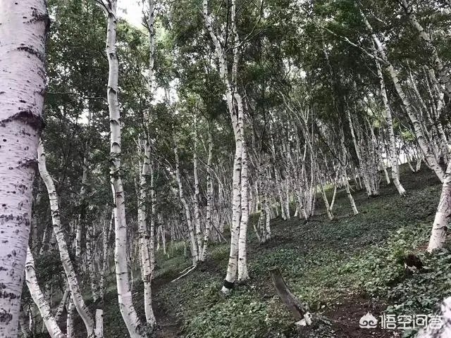 怀柔哪里好玩
