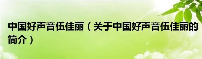 中国好声音伍佳丽（关于中国好声音伍佳丽的简介）