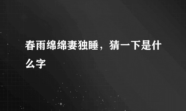 春雨绵绵妻独睡，猜一下是什么字