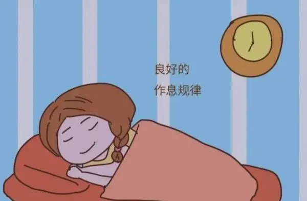 世界上公认最健康的作息时间表?
