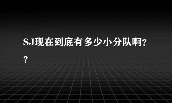 SJ现在到底有多少小分队啊？？
