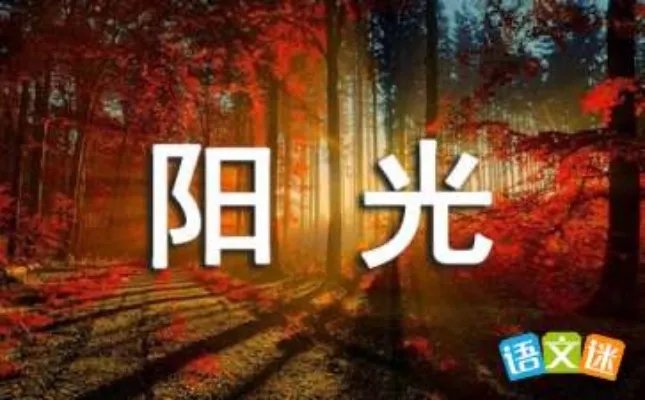 种植阳光