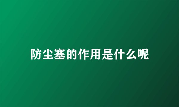 防尘塞的作用是什么呢