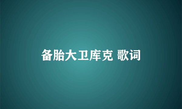 备胎大卫库克 歌词