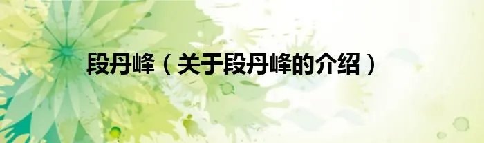 段丹峰（关于段丹峰的介绍）