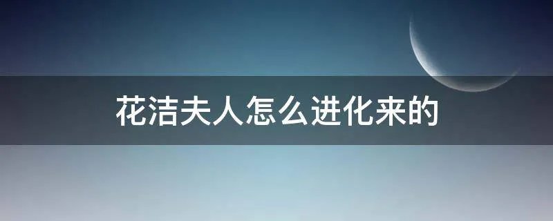 花洁夫人怎么进化来的