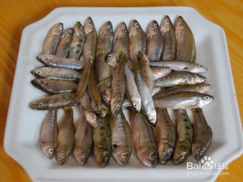 重庆主城钓鱼哪里钓更给力？