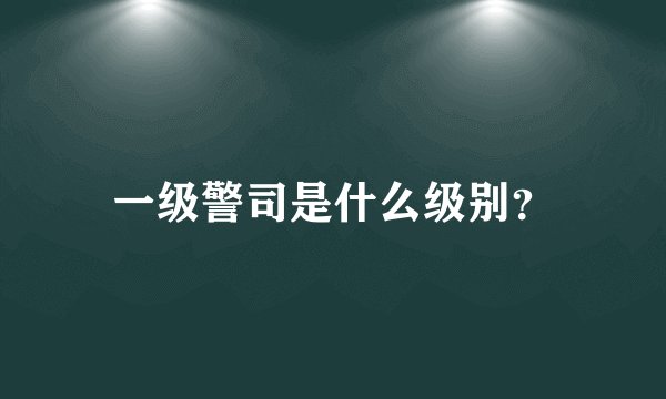 一级警司是什么级别？