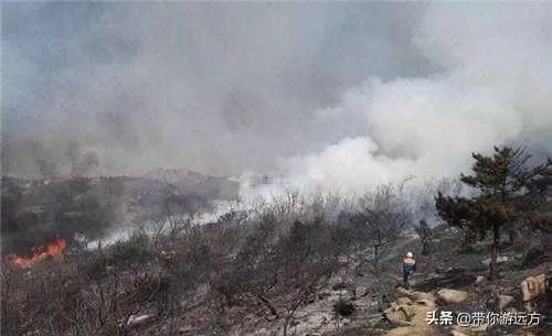 西海岸大火怎么着起来的？