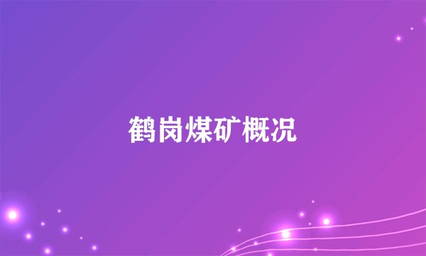 鹤岗煤矿概况
