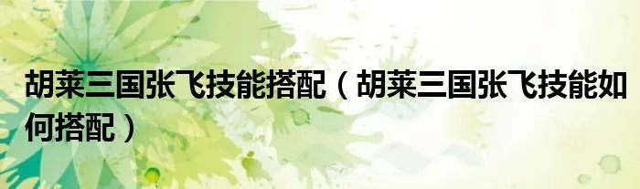 胡莱三国张飞技能搭配（胡莱三国张飞技能如何搭配）