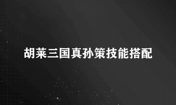 胡莱三国真孙策技能搭配