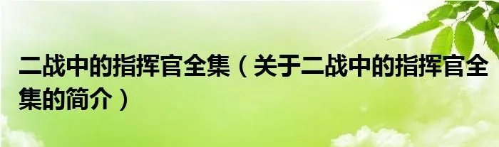 二战中的指挥官全集（关于二战中的指挥官全集的简介）