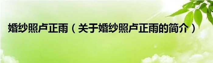 婚纱照卢正雨（关于婚纱照卢正雨的简介）