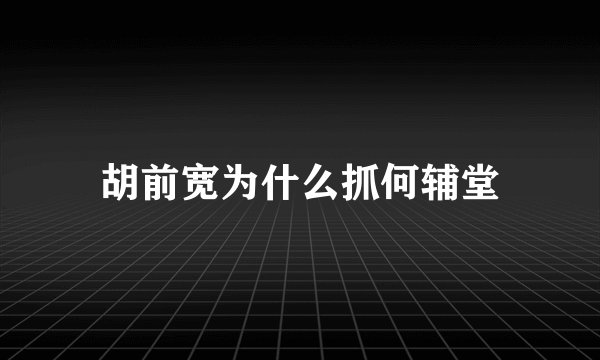 胡前宽为什么抓何辅堂