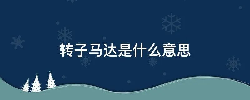 转子马达是什么意思