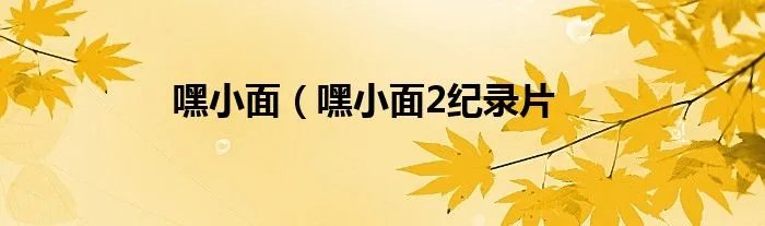 嘿小面（嘿小面2纪录片