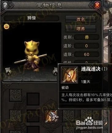斗战神龙女带什么灵兽