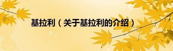 基拉利（关于基拉利的介绍）