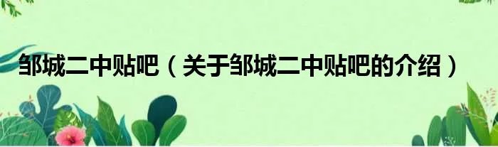 邹城二中贴吧（关于邹城二中贴吧的介绍）