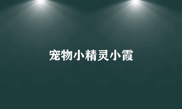 宠物小精灵小霞