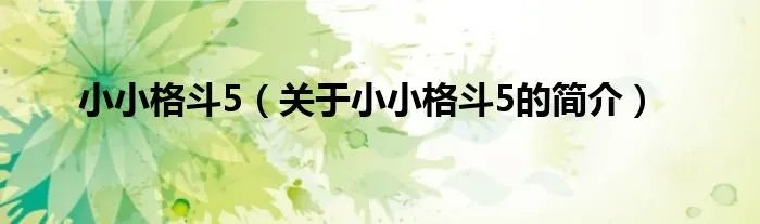 小小格斗5（关于小小格斗5的简介）