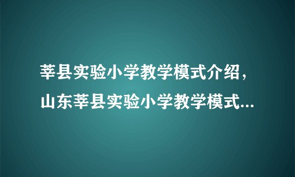 莘县实验小学教学模式介绍，山东莘县实验小学教学模式如何学习？