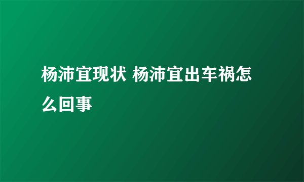 杨沛宜现状 杨沛宜出车祸怎么回事