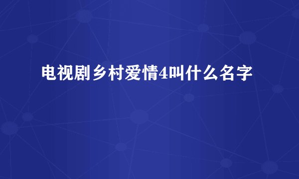 电视剧乡村爱情4叫什么名字