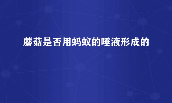 蘑菇是否用蚂蚁的唾液形成的