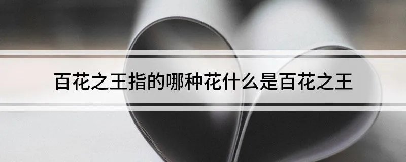百花之王指的哪种花 什么是百花之王