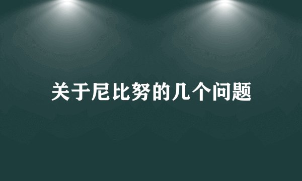 关于尼比努的几个问题