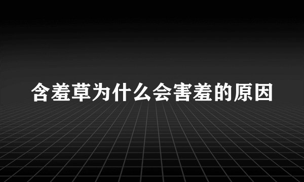 含羞草为什么会害羞的原因