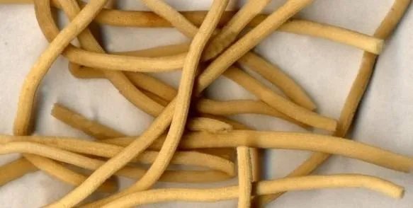 水登星草学名叫什么？