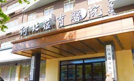 娜高隆胸术